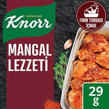 V1 KNORR Chicken Spicy Mix / Mangal Lezzeti 29g/12pcs