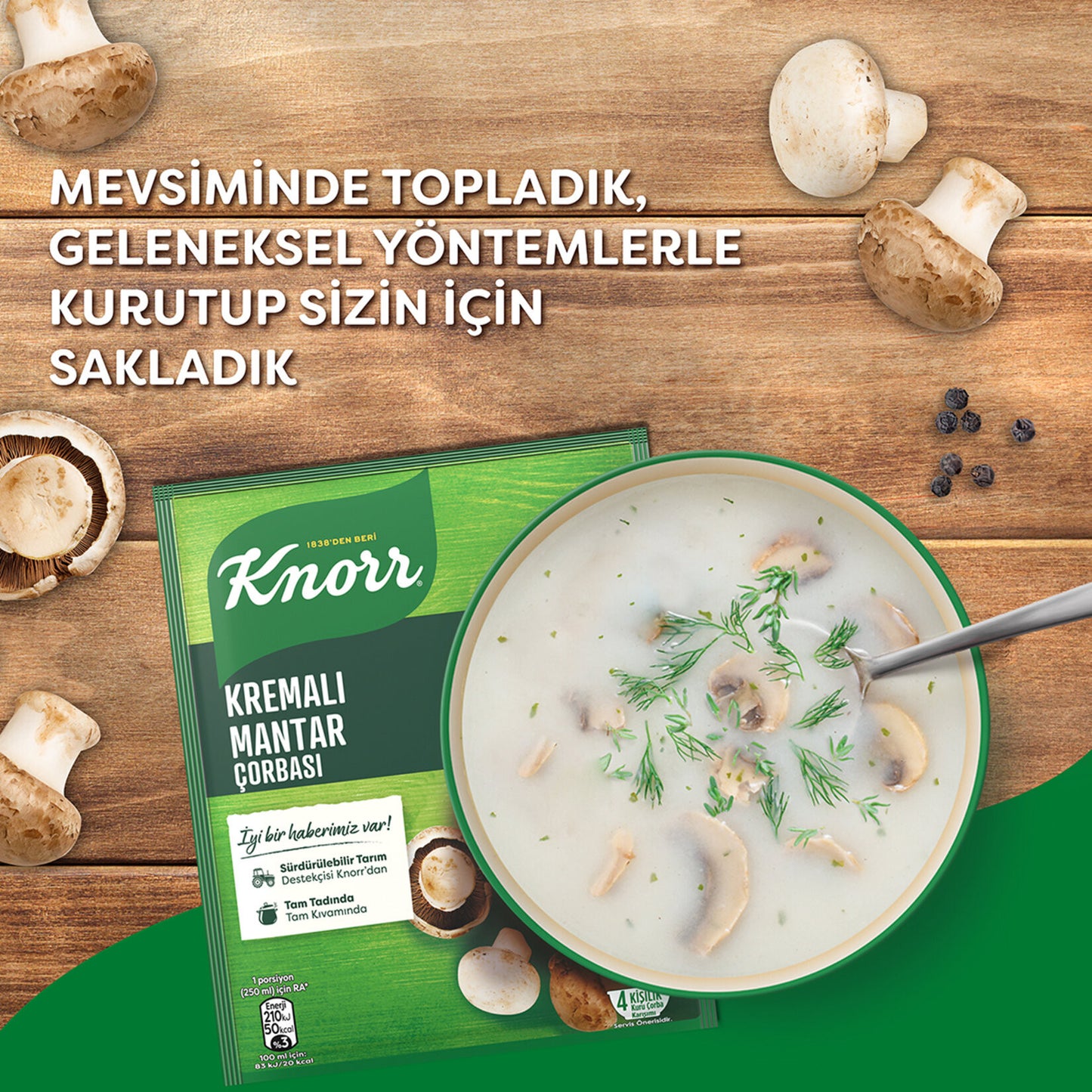 KNORR Creamy Mushroom Soup/ Kremalƒ± Mantar 63g 1cs/12pcs