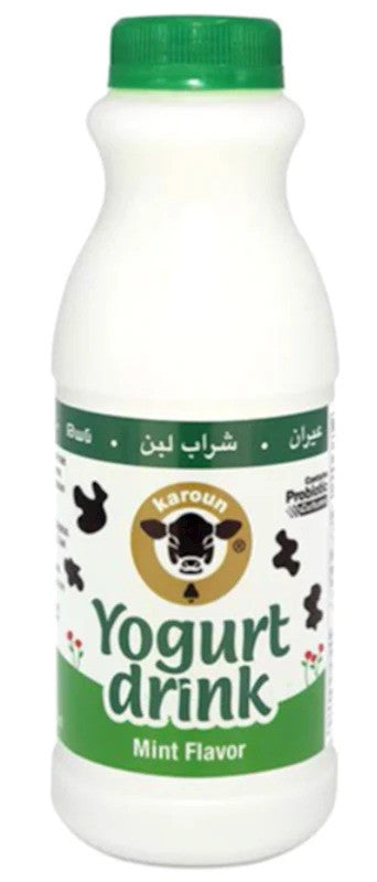 YD473 Karoun Yogurt Drink Ayran Mint 1/24pcs