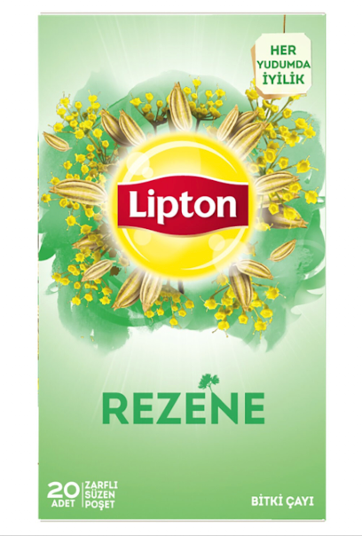 LIPTON Fennel Tea - Rezene Cay 40g - 20pc X 12