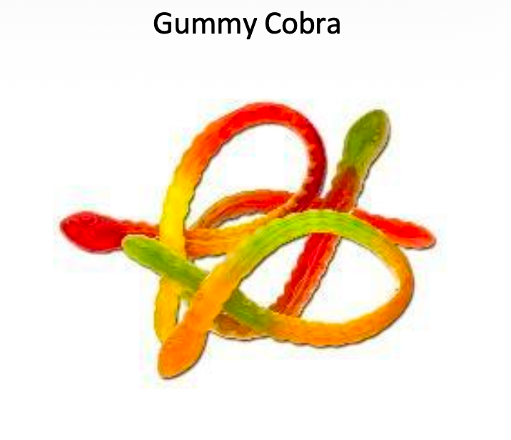 YAY FUN Bulk Gummy Cobra  5lbs. X 4Pcs