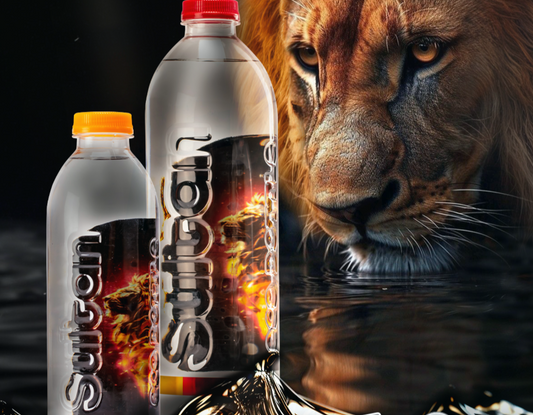 SULTAN WATER 13.5 FL OZ (0,4 L) PET (12 IN 1) X 1PCS - SUL03