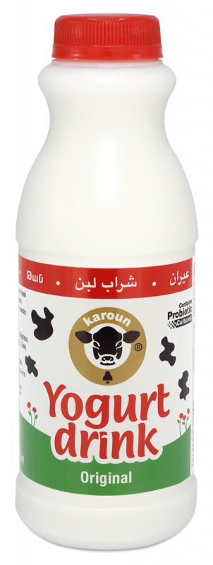 YD473 KAROUN Yogurt Drink Ayran 1/24pcs