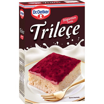 DR OETKER TRILECE BOGURTLEN SOSLU 315 GR X 8
